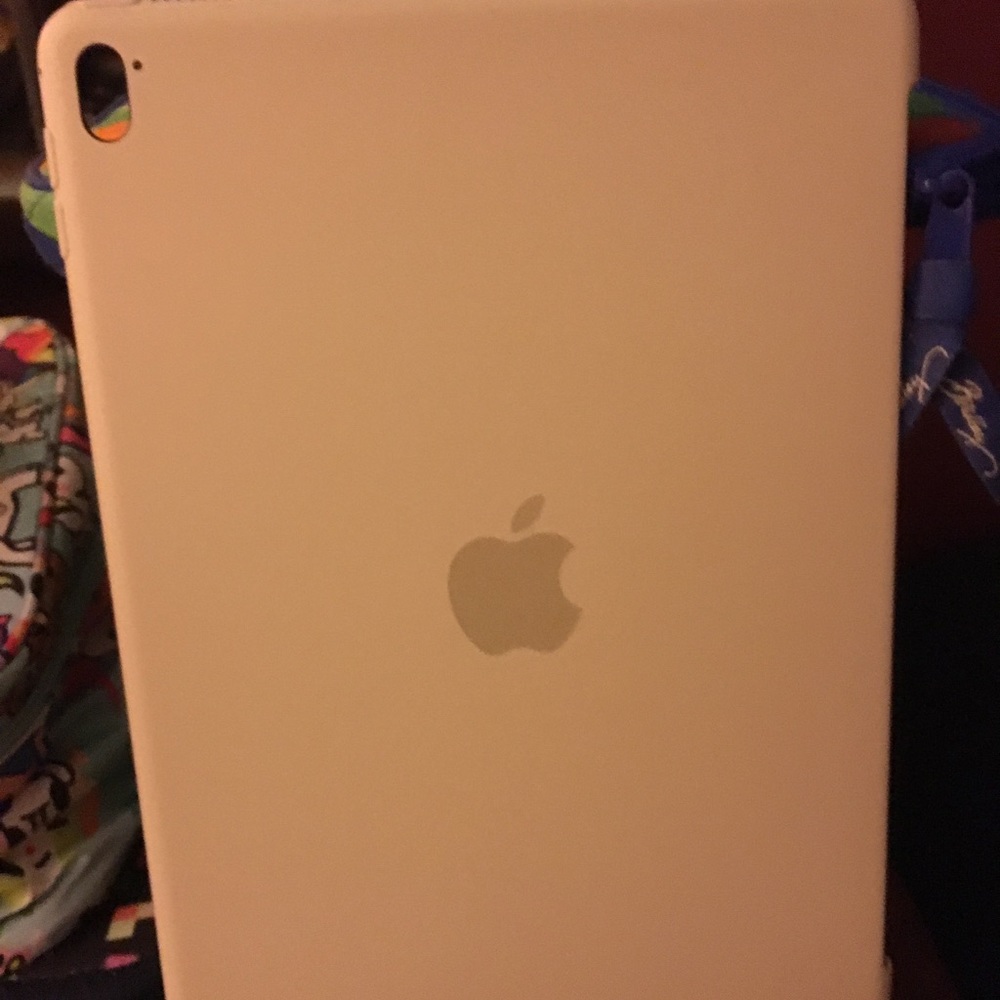 Authentic gray Apple I pad case.